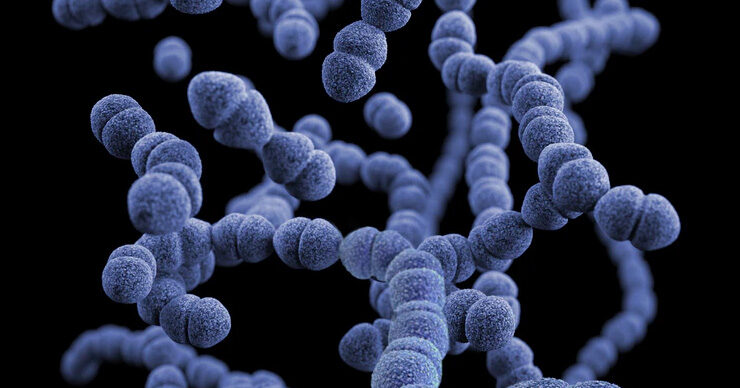 Study finds long-acting shot helps women avoid HIV infection